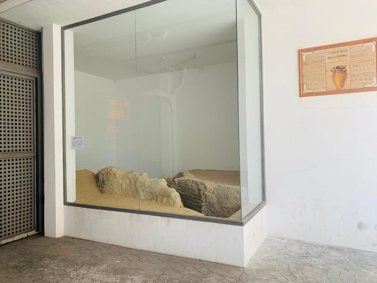 Homely Malaga Parras Con Terraza Interior Y Parking Privado Bajo Suplemento Εξωτερικό φωτογραφία
