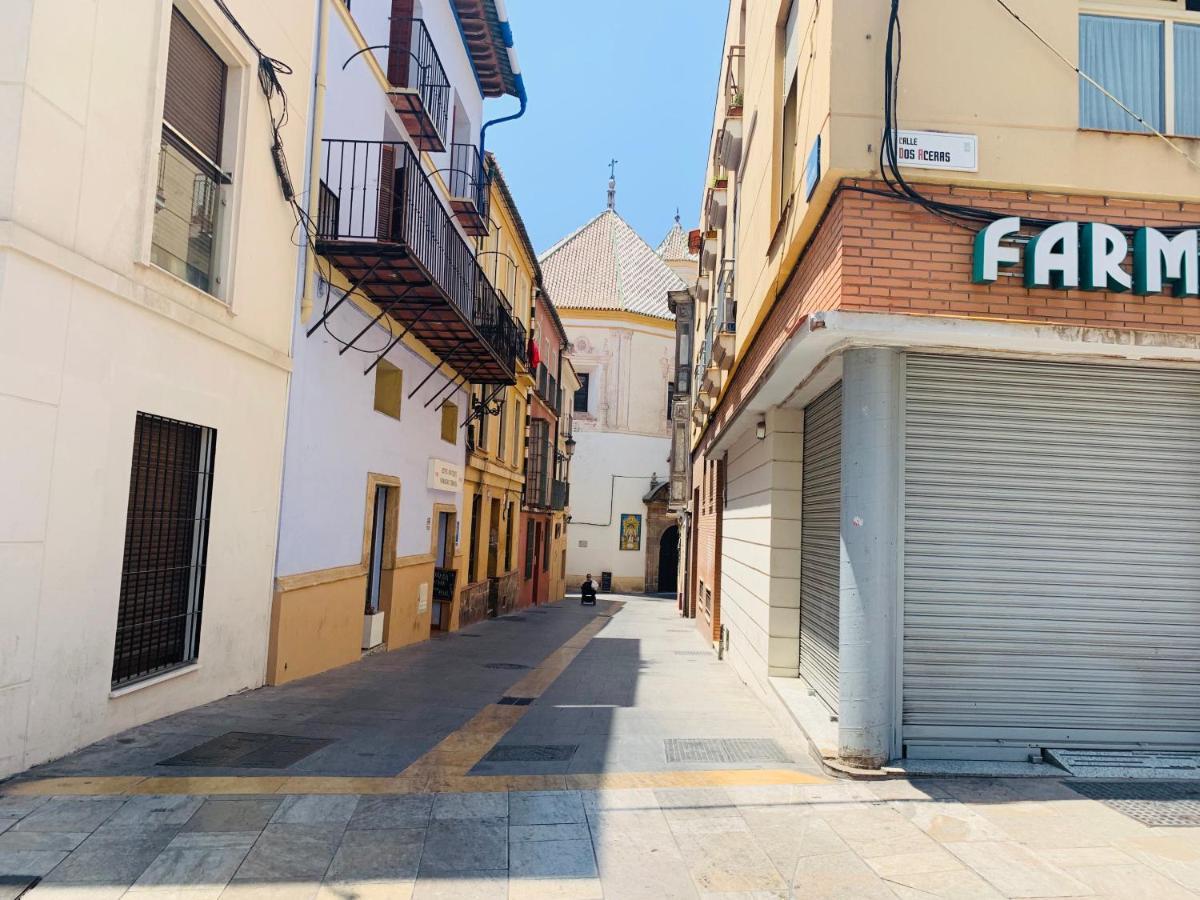 Homely Malaga Parras Con Terraza Interior Y Parking Privado Bajo Suplemento Εξωτερικό φωτογραφία